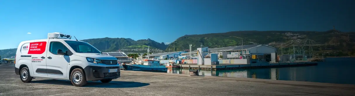 Catégorie Frigorifique