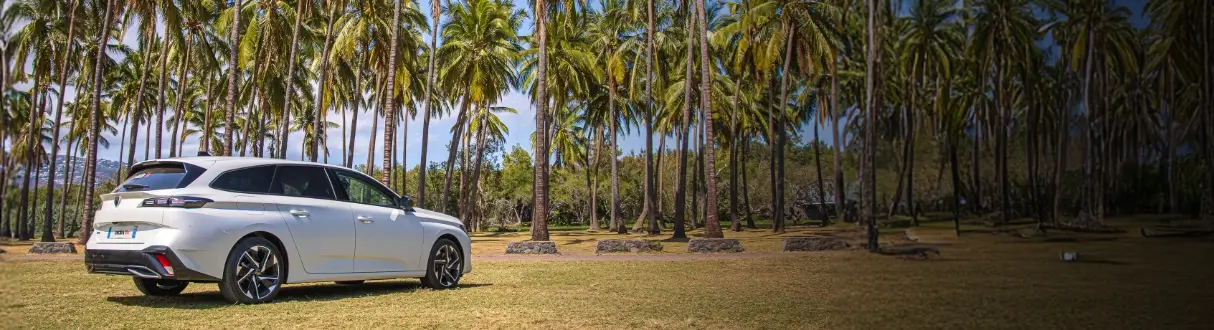 Catégorie Break et Monospace