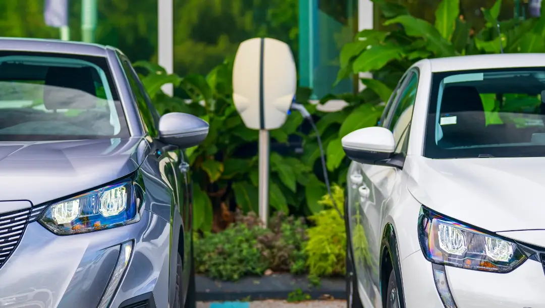 ADA Réunion location, catégorie électrique