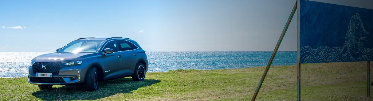 Catégorie Les Hybrides