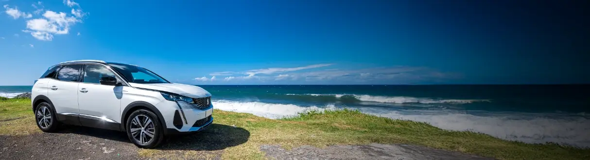 Catégorie Crossover